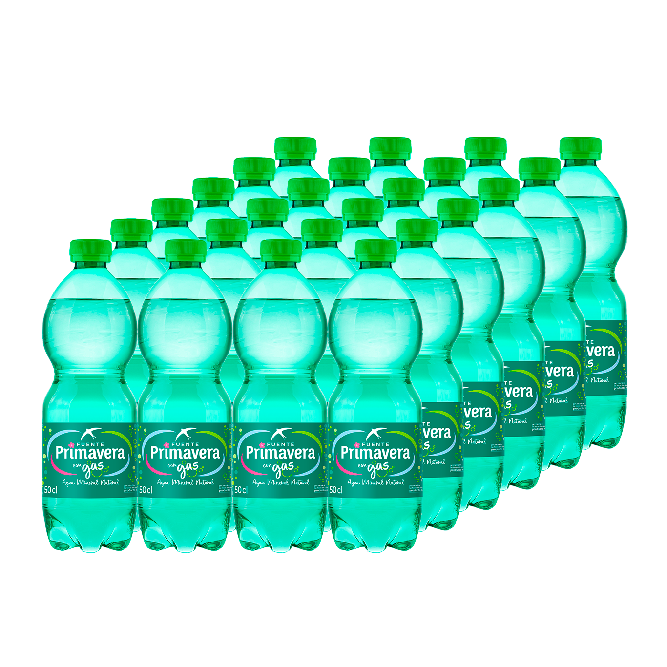 Pack con Gas Medio Litro | 24 botellas de 0,5 L