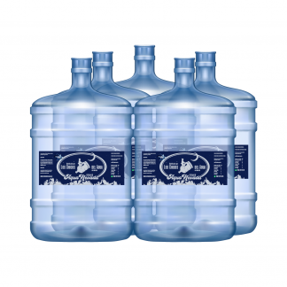 Pack Tera Cinco (5 bidones de 19 L)